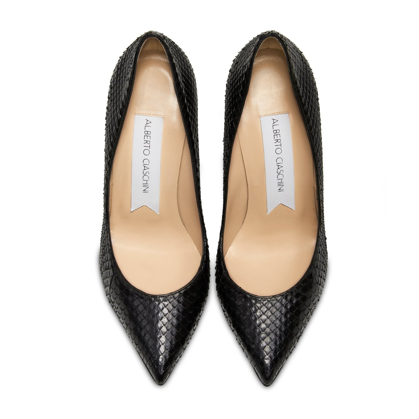 Smoking Hot Pump Elaphe